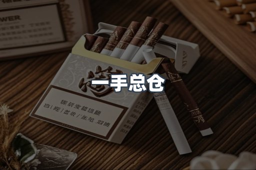 一手总仓